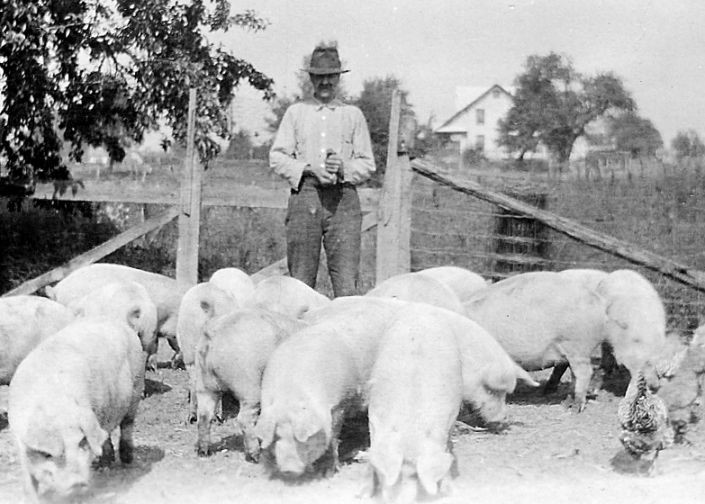 Henry Leyes kept pigs and chickens