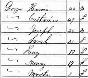 The family of Harris and Catherine George in the 1870 census, Cannelton, Indiana