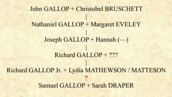 Proposed GALLOP line of descent from immigrant John Gallop Proposed GALLOP line of descent